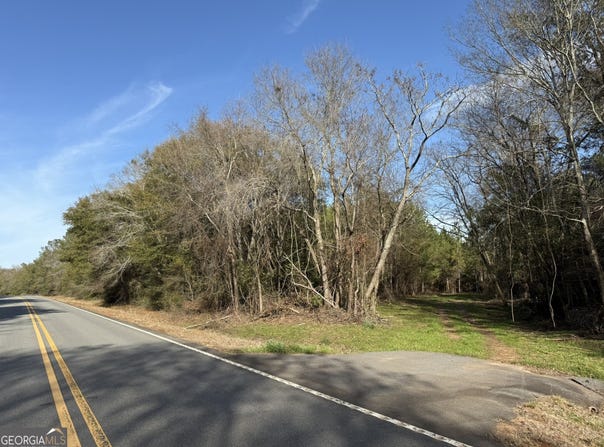 003 GA Highway 45, Plains, GA 31780