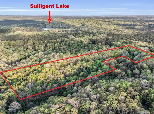 Abernathy Road, Sulligent, AL 35586
