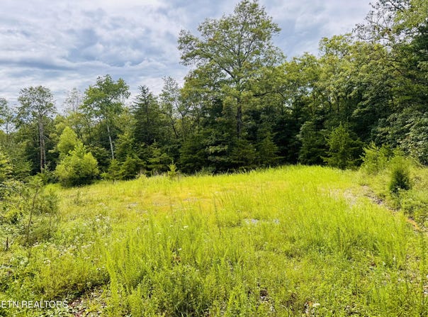 Collins Turnpike, Deer Lodge, TN 37726