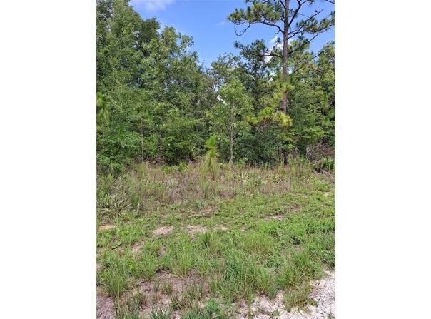 Lot 7 CRABAPPLE ROAD, WEEKI WACHEE, FL 34614