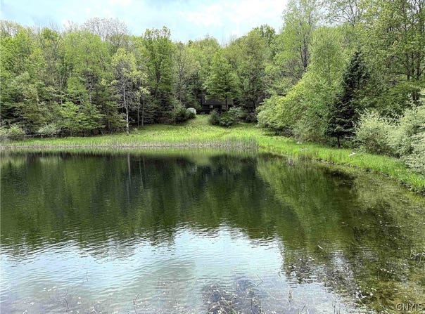 3304 Co Rd 22, Cameron, NY 14820