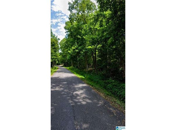HICKORY HILL ROAD lot: 1509320001221000, RAINBOW CITY, AL 35906