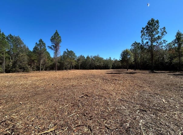 20+-ac Coot Adams Rd, Ashford, AL 36312