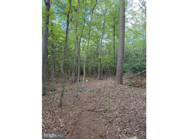 Parcels #82 & #96 DRAPERS MILL RD, GOLDSBORO, MD 21636