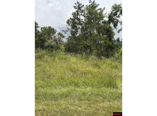 CR 868 lot: 23, Henderson, AR 72544