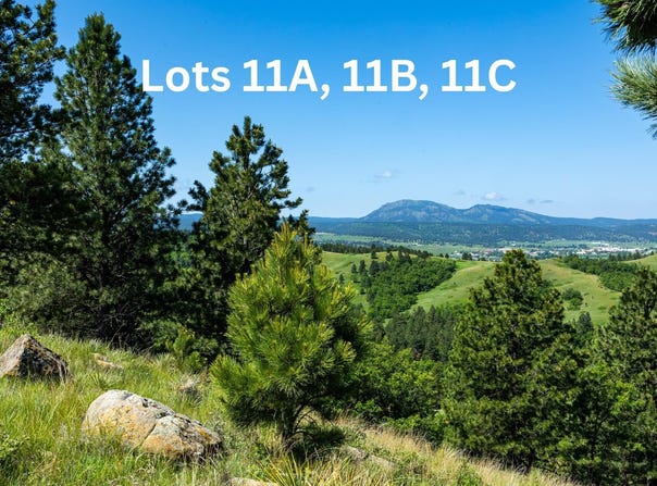 Tract 11B Lookout Vista Road, Spearfish, SD 57783