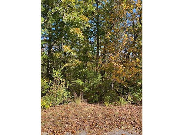 Tonto Drive, Cherokee Village, AR 72529
