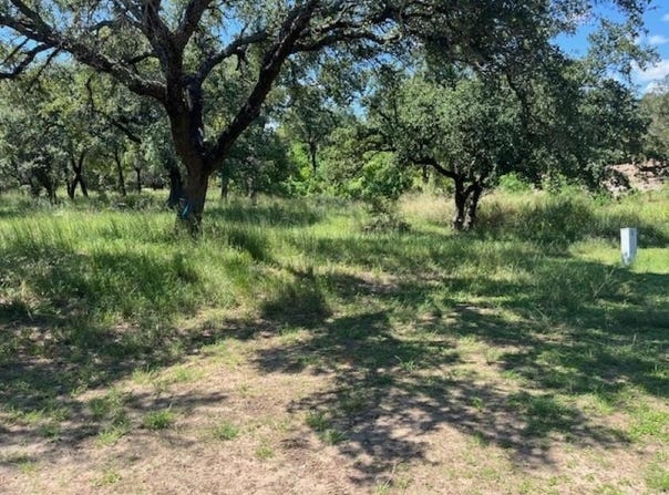 W1114 Blister Gold, Horseshoe Bay, TX 78657