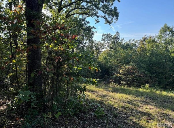 0 Lot 6b Lakeview Drive, Perryville, MO 63775