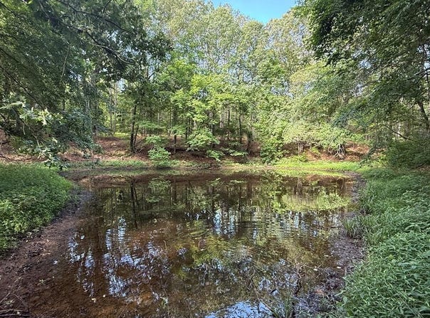 Ballentine Rd, SARDIS, MS 38606