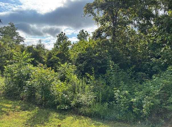 Lot 17A Old Lead Mine Bend Rd, Sharps Chapel, TN 37866
