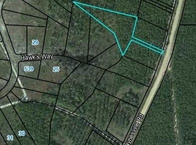 Lot 16 Old Waynesville Road, Waynesville, GA 31566