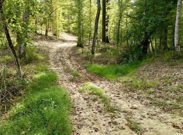 01 Abernathy Road, Flora, MS 39071