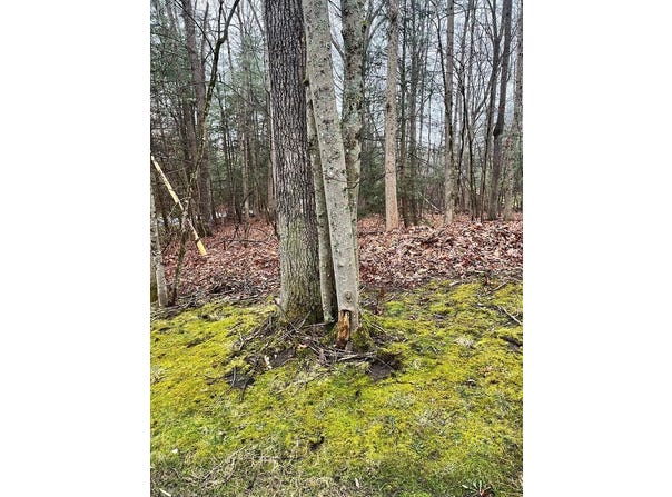 Timber Ridge Drive, BECKLEY, WV 25801