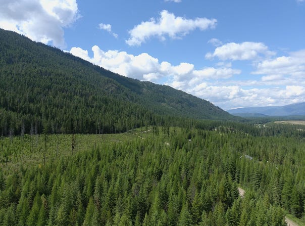 L1 Lower Stanley Cutoff Road, Troy, MT 59935