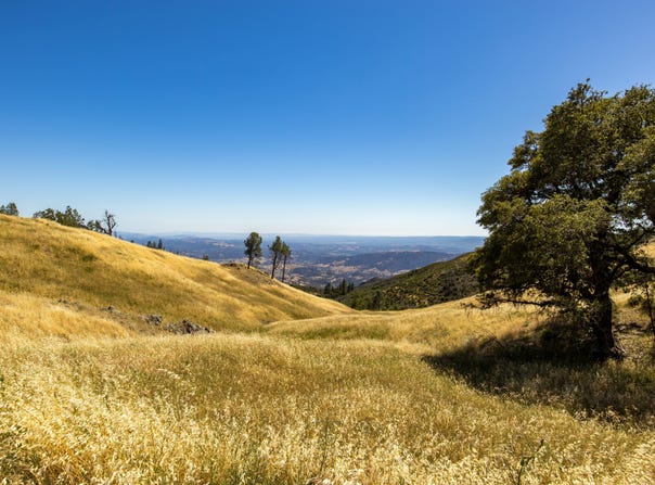 Pine Flat Rd, Healdsburg, CA 95448