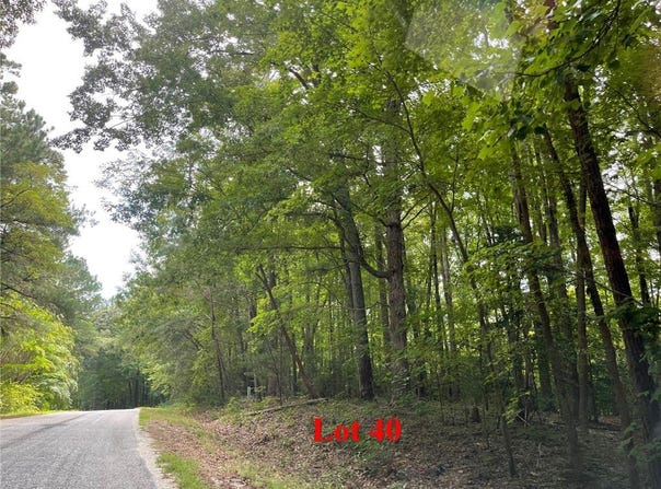 Wicomico Drive lot: 40, Heathsville, VA 22473