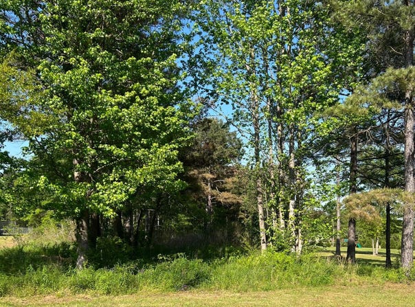 8417 DAWSON Ln, Dora, AL 35062