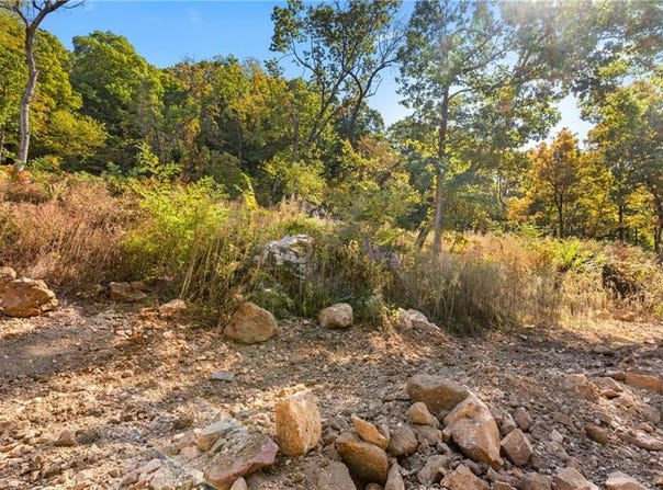 Lot 3 Significance Summit, Harrison, AR 72601