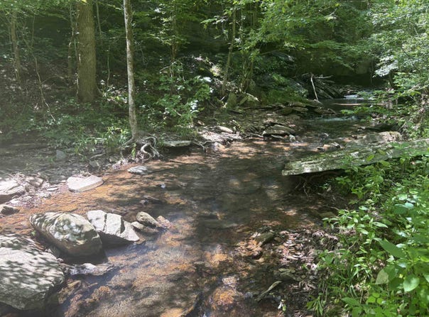 000 Chimney Rock, Shirley, AR 72153