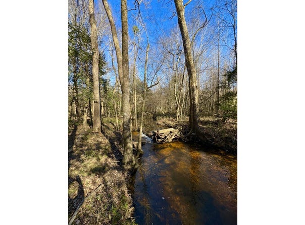 0 S Fred Circle, Kenly, NC 27542