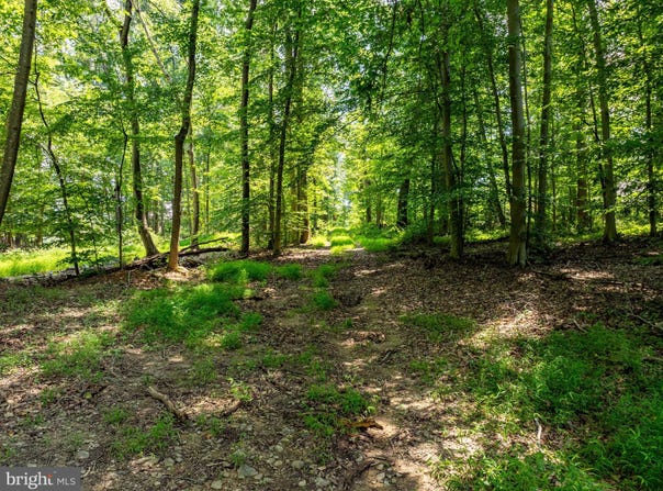 RIDGE ROAD, RISING SUN, MD 21911