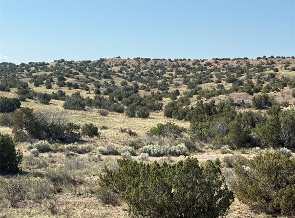Tbd Fort Defina, Abiquiu, NM 87510