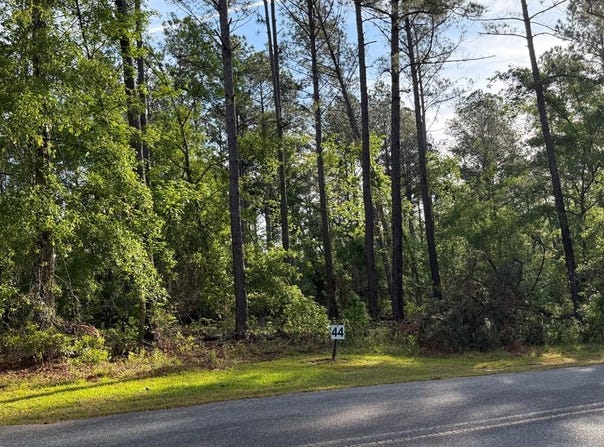 Lot #44, Vidalia, GA 30474
