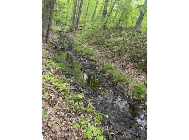V/L N Hawkins Road, Luther, MI 49656