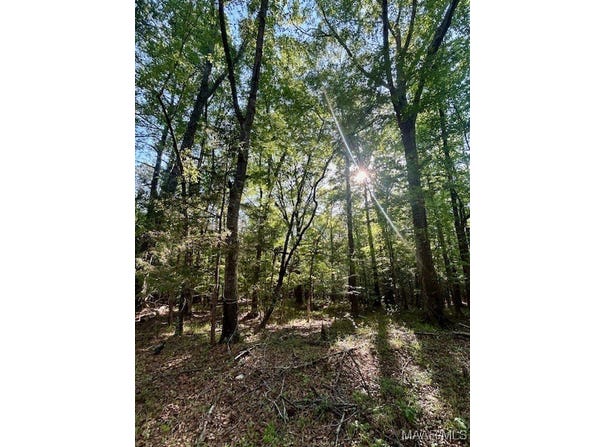 0 Sherling Lake Road, Greenville, AL 36037