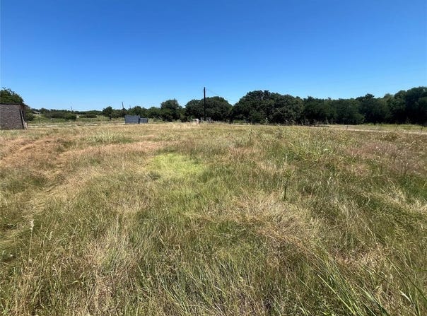 3020 Spring Branch Drive, Little Elm, TX 75068
