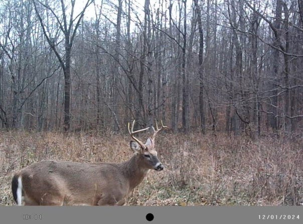 0 Highway 431, Drakesboro, KY 42337