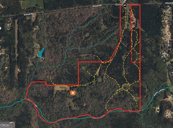 312.37 Ac W Ellis, Griffin, GA 30223