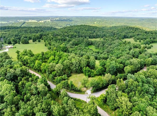 375 Tomahawk Slab  RD, St. Joe, AR 72650