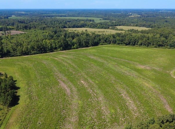 1 County Road 75 North, Ashford, AL 36312