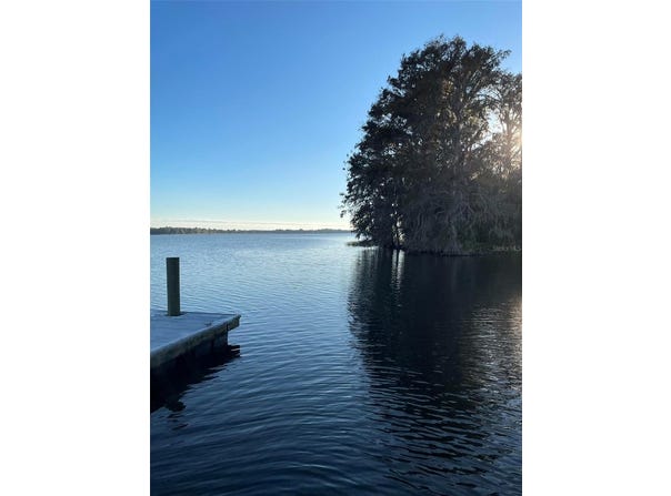 17708 SAWGRASS Run, DEER ISLAND, FL 32778