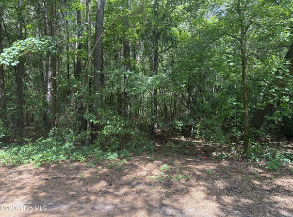 Herring Loop Road, Wallace, NC 28466