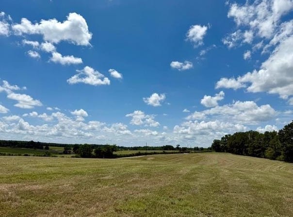 0000 Dewitt Lane, Other, LA 70427