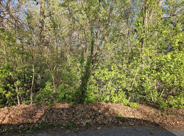 3100 Kosciusko Street, Hobart, IN 46342