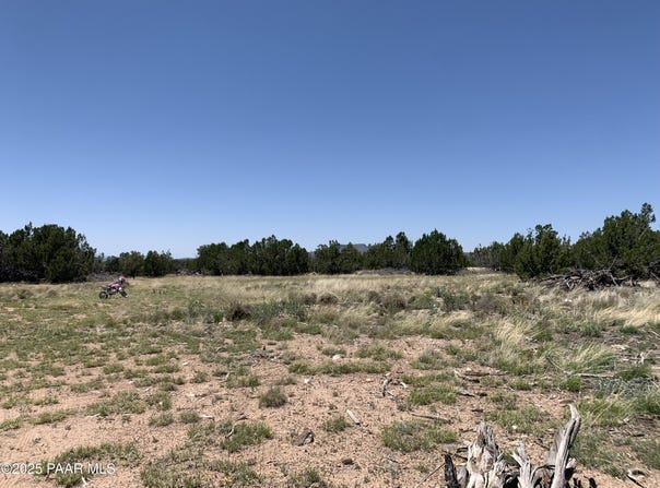 37925 W Raptor Road, Seligman, AZ 86337