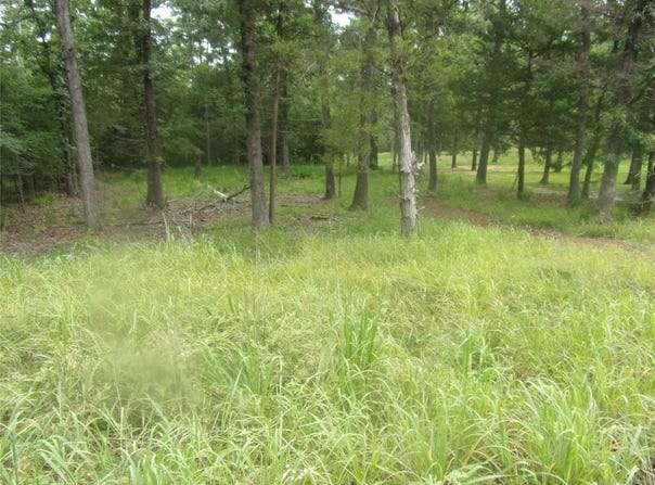 944 Whipporwill, Murchison, TX 75778