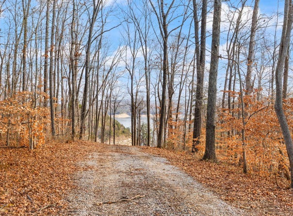 Tract 2 Hwy 196, Nancy, KY 42544