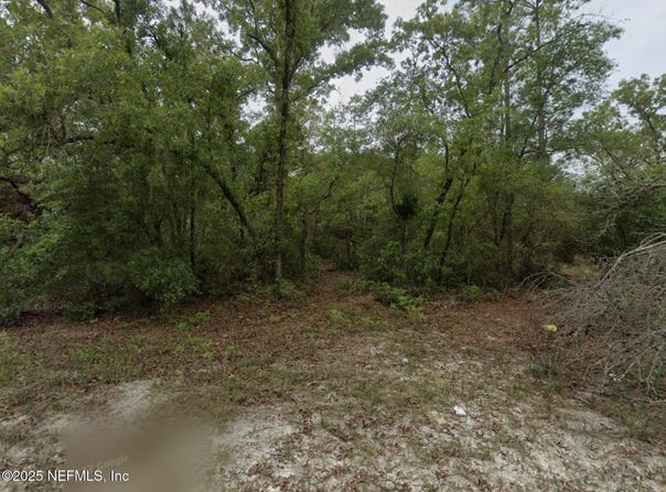 164 LAKE Circle, Satsuma, FL 32189