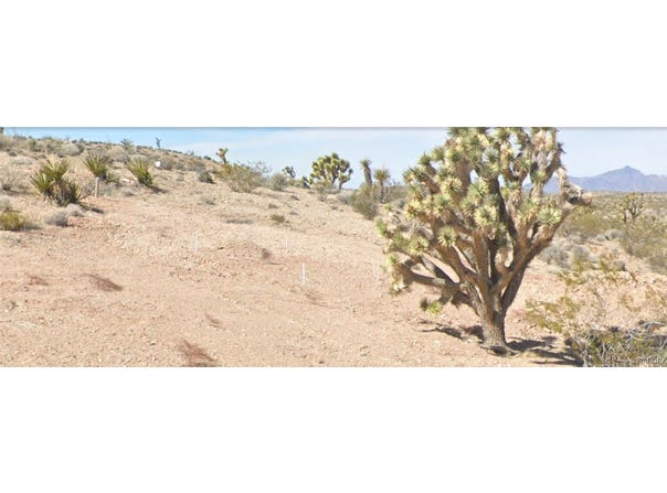 29779 Driftwood Drive, Meadview, AZ 86444