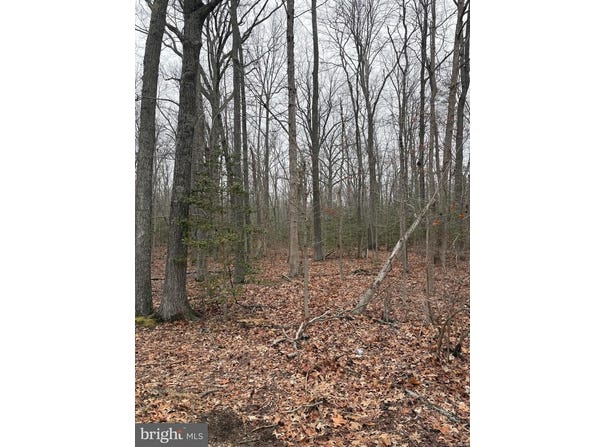5280 Cedar St, West River, MD 20778