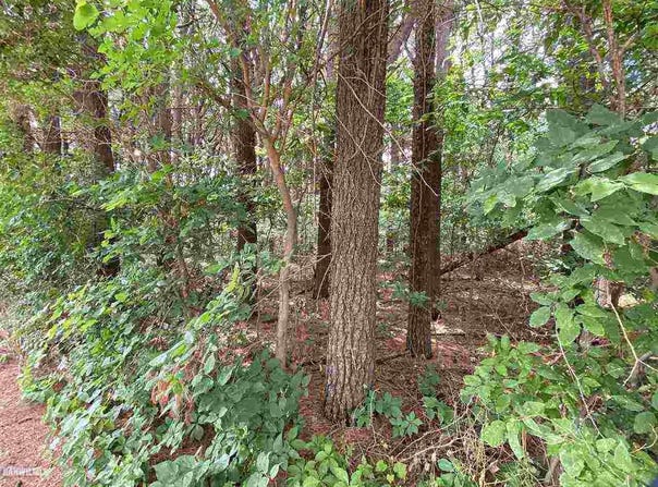Squire Circle lot: 3, THOMSON, IL 61285