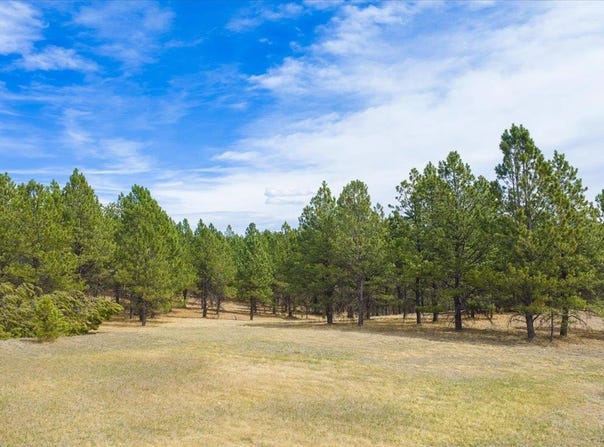 TBD W Argyle Road, Custer, SD 57730