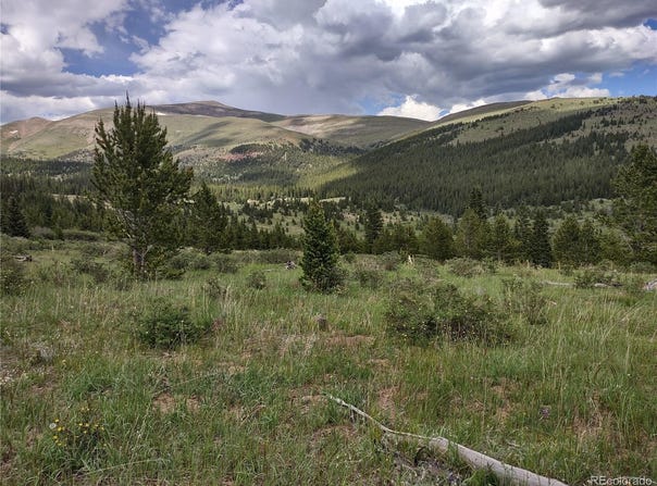 0 Snow Cap Peaks Road, Alma, CO 80402