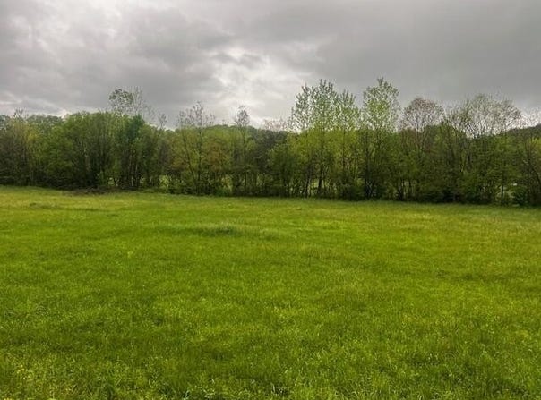 Fowlers Grove Rd, Newport, TN 37821