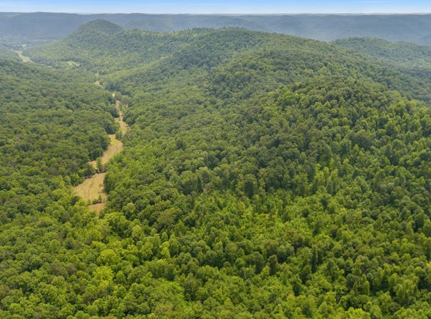 275 Horns River Road Road, Irvine, KY 40336